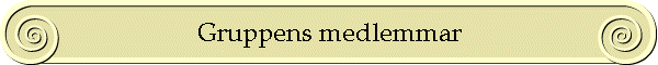 Gruppens medlemmar