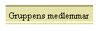 Gruppens medlemmar